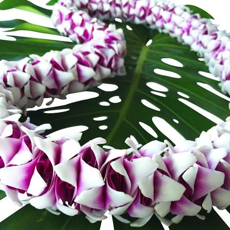 Premium Leis
