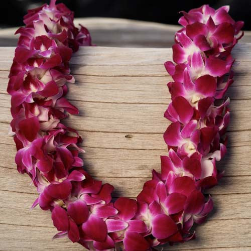 Triple Purple Lei (Bom)