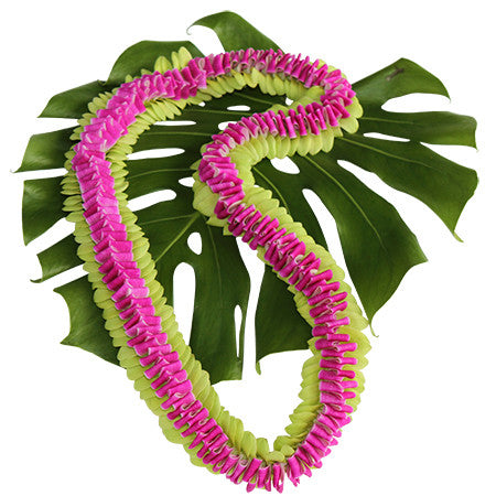 Kukui nut lei, fresh leis, orchid leis, hawaiian leis, fresh leis shipped, hawaiian leis delivered, graduation leis from hawaii shipped, fresh leis delivered