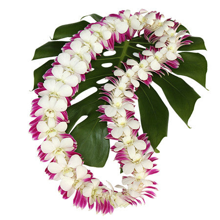 Kukui nut lei, fresh leis, orchid leis, hawaiian leis, fresh leis shipped, hawaiian leis delivered, graduation leis from hawaii shipped, fresh leis delivered