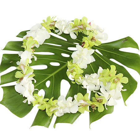 Single white and green Lei