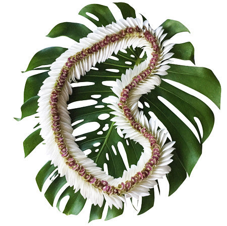 Kukui nut lei, fresh leis, orchid leis, hawaiian leis, fresh leis shipped, hawaiian leis delivered, graduation leis from hawaii shipped, fresh leis delivered