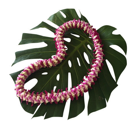 Leiページ Waikiki Lei ET1