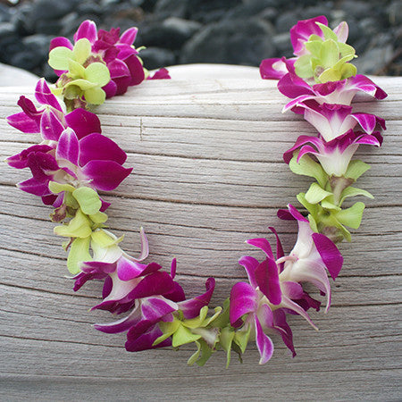 orchid leis bulk, fresh leis, orchid leis, hawaiian leis, fresh leis shipped, hawaiian leis delivered, graduation leis from hawaii shipped, fresh leis delivered