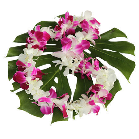 Single white & purple Orchid Lei