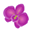 logo of Fresh Hawaiian Orchid Leis delivered Nationwide. Lowest prices!