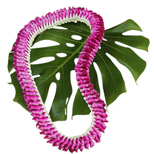 10 Lei deluxe Tray