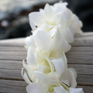 Hawaiian orchid Lei fresh lei hawaiian leis orchid lei fresh orchid leis leis from hawaii delivered leis shipped