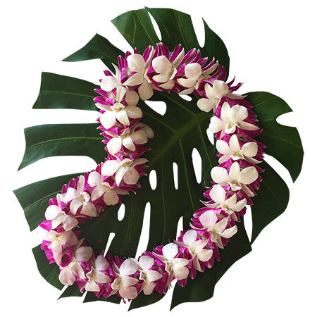 hawaiian orchid lei