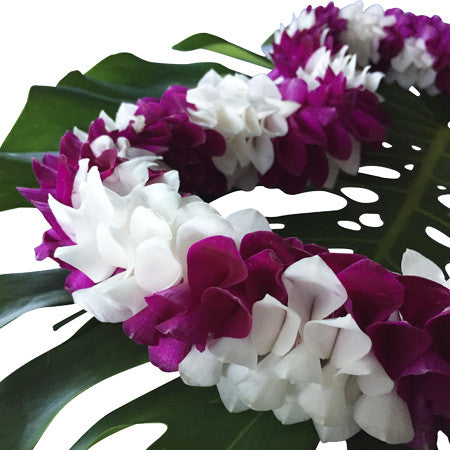 graduation leis, leis cheap for graduation, lei from hawaii,  Leis in Bulk, real hawaiian leis, leis from hawaii, fresh leis delivered, leis shipped to mainland, fresh orchid leis.