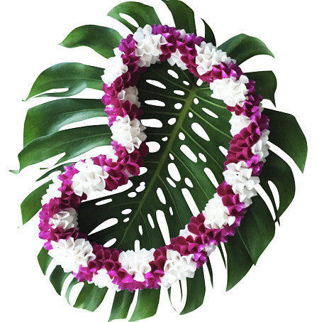 graduation leis, leis cheap for graduation, lei from hawaii,  Leis in Bulk, real hawaiian leis, leis from hawaii, fresh leis delivered, leis shipped to mainland, fresh orchid leis