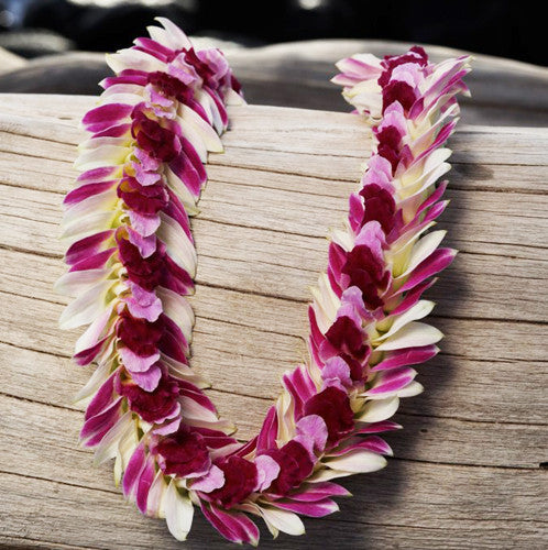 10 Lei deluxe Tray