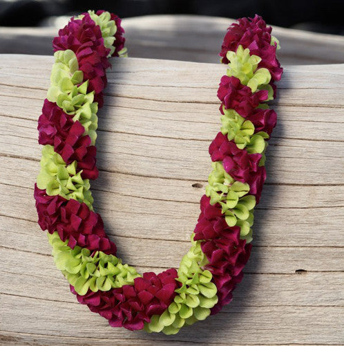 10 Lei deluxe Tray