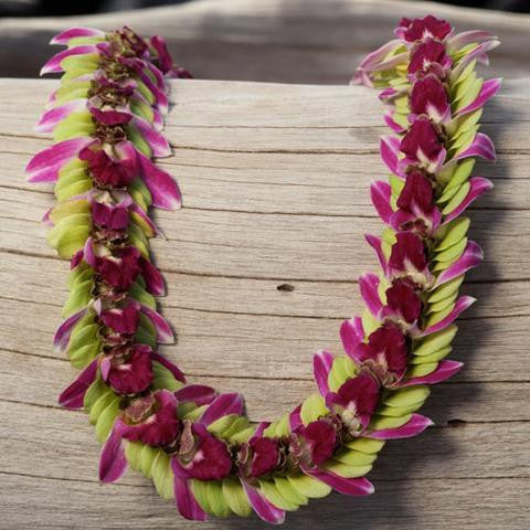 10 Lei deluxe Tray