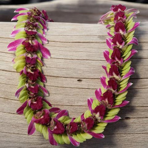 10 Lei deluxe Tray