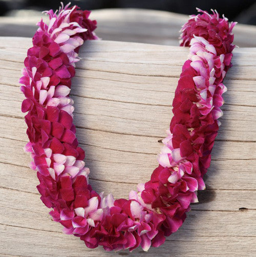 10 Lei deluxe Tray