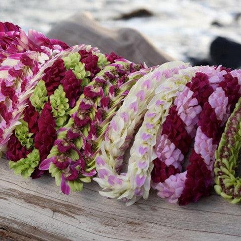 10 Lei Deluxe Tray Pacific Leis