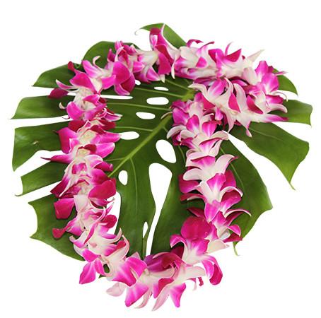 hawaiian orchid lei