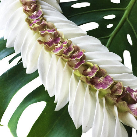 white feather lei