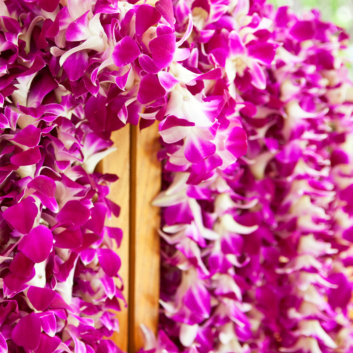 Purple Orchid Leis Bulk - 50 Leis