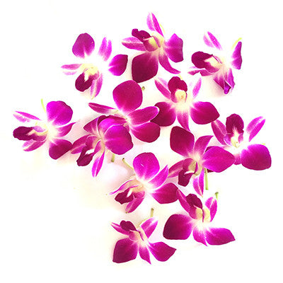 Purple Loose Orchid Blooms (250 Pieces)