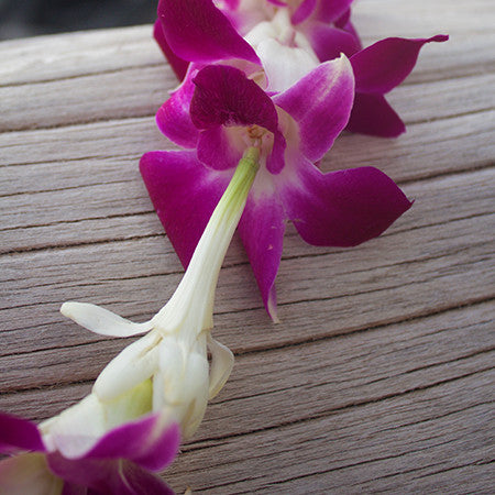 Tuberose and Orchid Lei, fresh Lei, Hawaiian Lei, Hawaiian leis