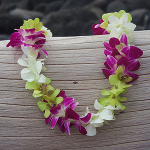 Bulk Leis Hawaii, fresh leis, orchid leis, hawaiian leis shipped, fresh leis delivered, orchid leis bulk