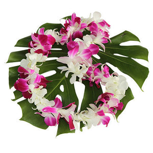 Single white & purple Orchid Lei Bulk
