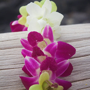 Hawaiian Orchid Lei