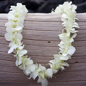 white orchid lei, orchid lei, hawaiian leis delivered, fresh leis shipped, fresh orchid leis