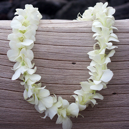 Single White Orchid Lei Bulk - Pacific Leis