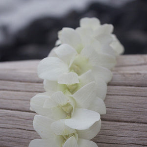 Single White Orchid Lei Bulk