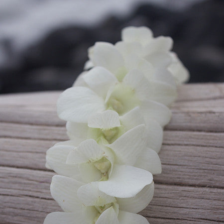 white orchid lei, orchid lei, hawaiian leis delivered, fresh leis shipped, fresh orchid leis