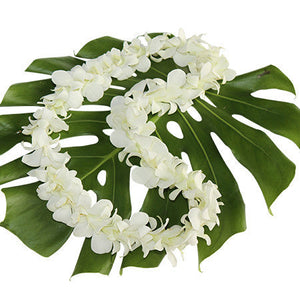 white orchid lei, fresh leis, hawaiian leis, leis shipped, leis delivered, bulk leis, leis from Hawaii