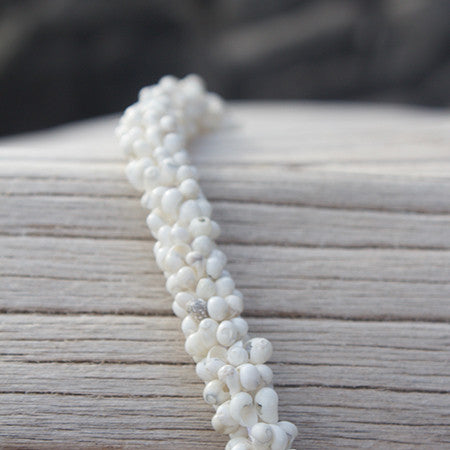 white mongo shell hawaii